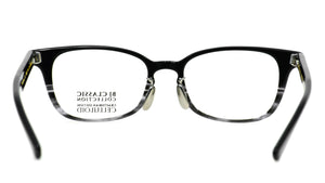 CE-501N MP 110