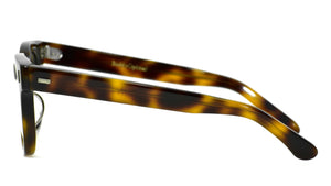 SUNY(L) Brown Tort