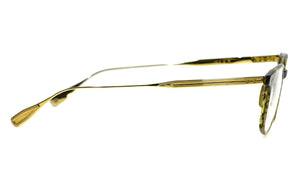 BUCKEYE(+) Timber Brown White Gold DTX149 A 02