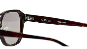 ANDREW 2