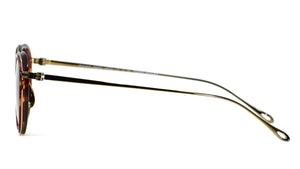 AR 6148T 333573 Shiny Havana/Shiny Bronze