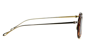 AR 6148T 333573 Shiny Havana/Shiny Bronze